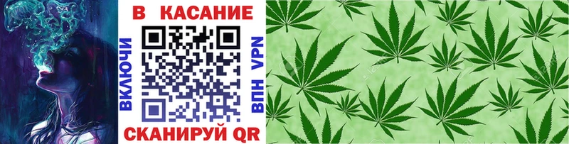 Псилоцибиновые грибы Вологда