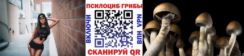 Псилоцибиновые грибы прущие грибы  Вологда 