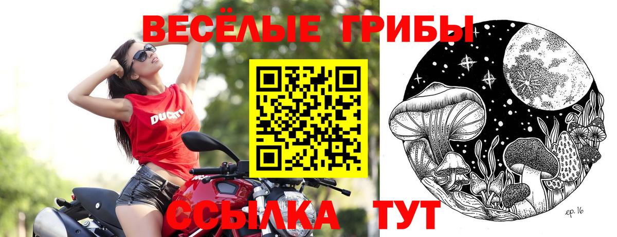 Псилоцибиновые грибы мицелий  Вход с VPN  купить наркотики цена  Вологда 