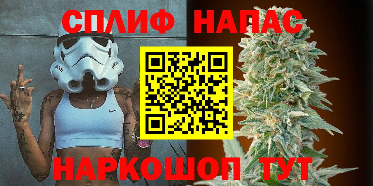 Каннабис сатива Вологда